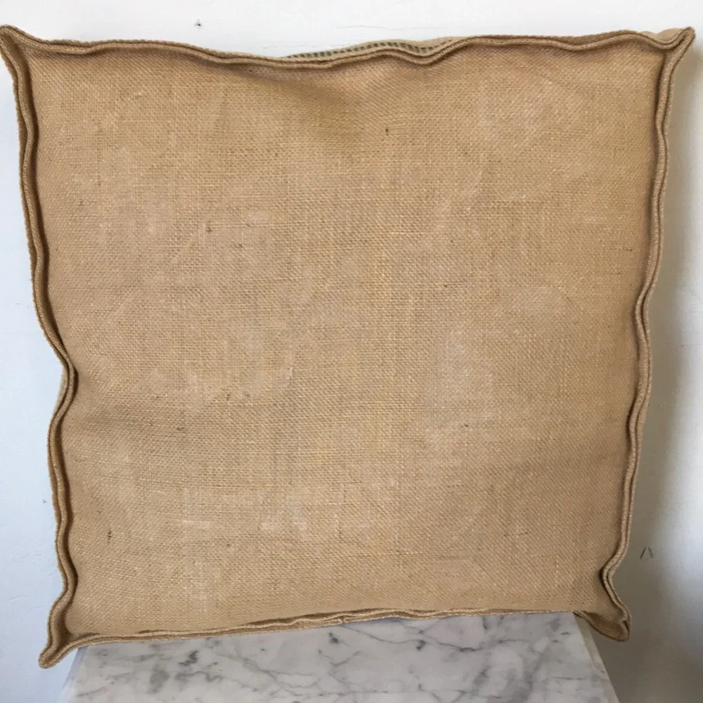 NWOT French Naturalist Bird Box Pillow